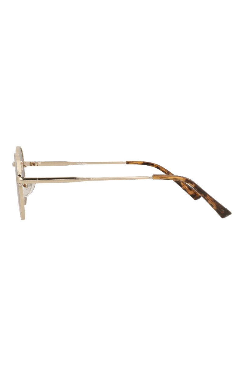 Lentes de sol Marrón