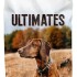 PRO PAC ULTIMATES LARGE BREEDS ADULTO X 18.18 KG Pro Pac Ultimates Large Breeds Adulto X 18.18 Kg