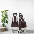 Carrito de Compras con Bolso para Feria Marrón