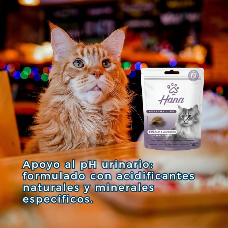 SNACK HANA CONTROL URINARIO PARA GATOS 60 GRAMOS SNACK HANA CONTROL URINARIO PARA GATOS 60 GRAMOS