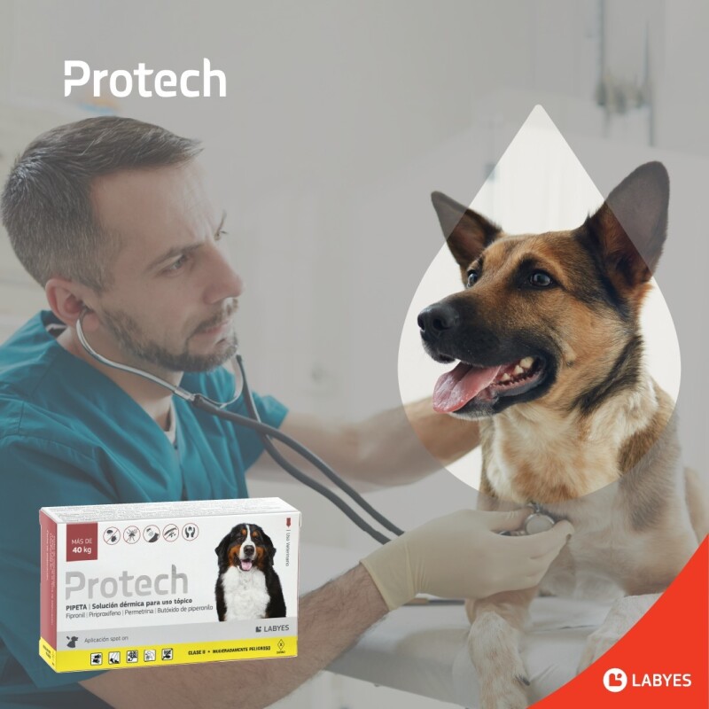 PROTECH PIPETA ANTIPULGAS Y GARRAPATAS CON ACCIÓN AMBIENTAL PARA PERROS MÁS DE 40 KG