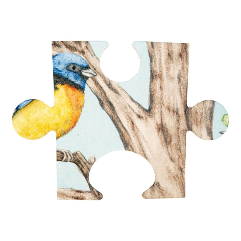 Puzzle Pájaros del Sur 30 Piezas Pika Puzzle Pájaros del Sur 30 Piezas Pika