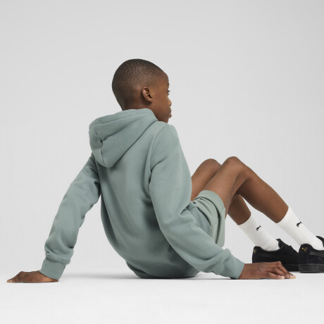 ESS 2 COLOR Nş1 logo Hoodie FL B 68582230 Verde