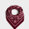 Pañuelos Raso Boho Pañuelo Paisley Burgundy - Rojo Burdeaux