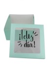 Caja flexi 20x20x9,5. c/visor impreso VERDE AGUA - LISO