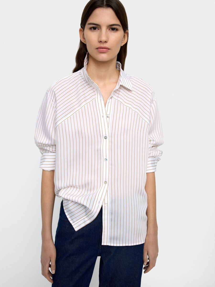 Camisa Con Rayas multicolor