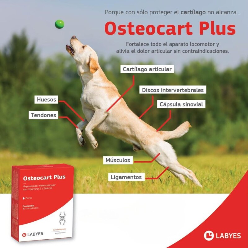 OSTEOCART PLUS X CAJA DE 30 COMPRIMIDOS