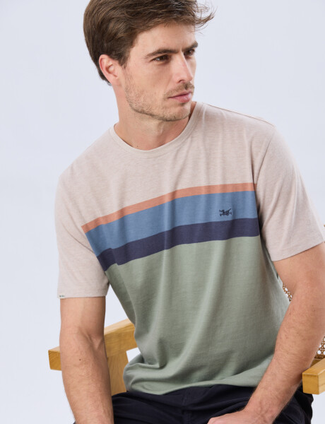 REMERA RAYADA DE ALGODÓN Pistacho