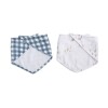 Set x2 babero bandana Fish & Navy