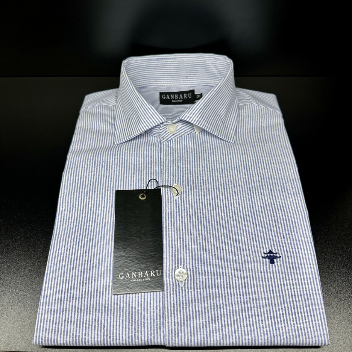 CAMISA DE LINO - Blanco rayado 