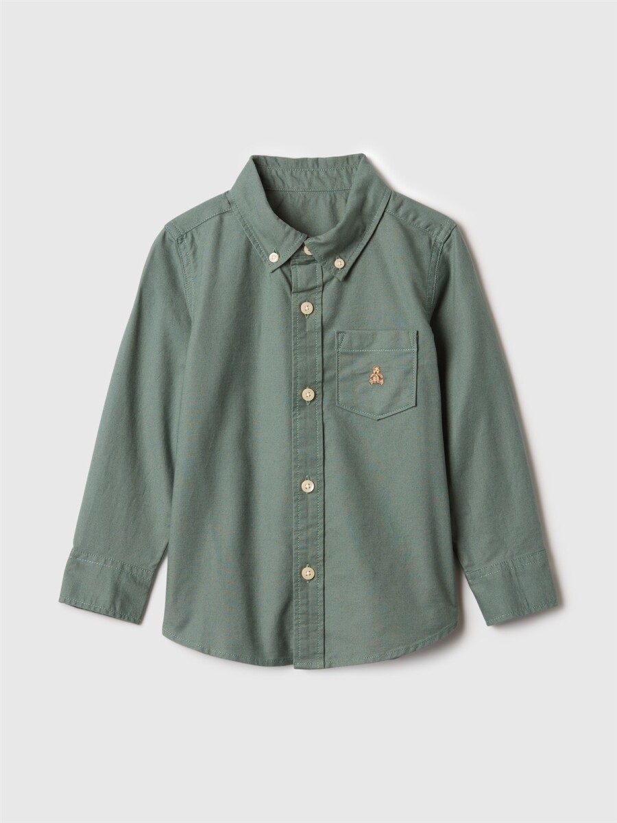 Camisa Oxford Toddler Niño - District Green 