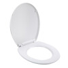 Tapa de inodoro plastico N/a