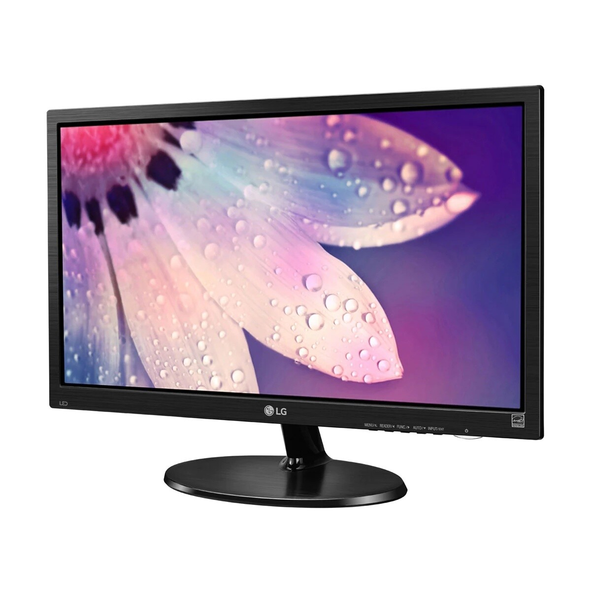 Monitor LG de 19" Pulgadas LCD TFT con HDMI 19M38H-B Negra