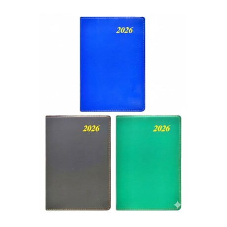 Agenda Flip 2026 HS0985 Lisa Varios Modelos 001