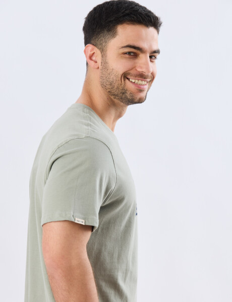 REMERA ESTAMPADA DE ALGODÓN Pistacho