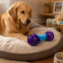 Juguete Morder Perros Gatos Limpieza Dental Golosinas Premio Color Celeste Violeta