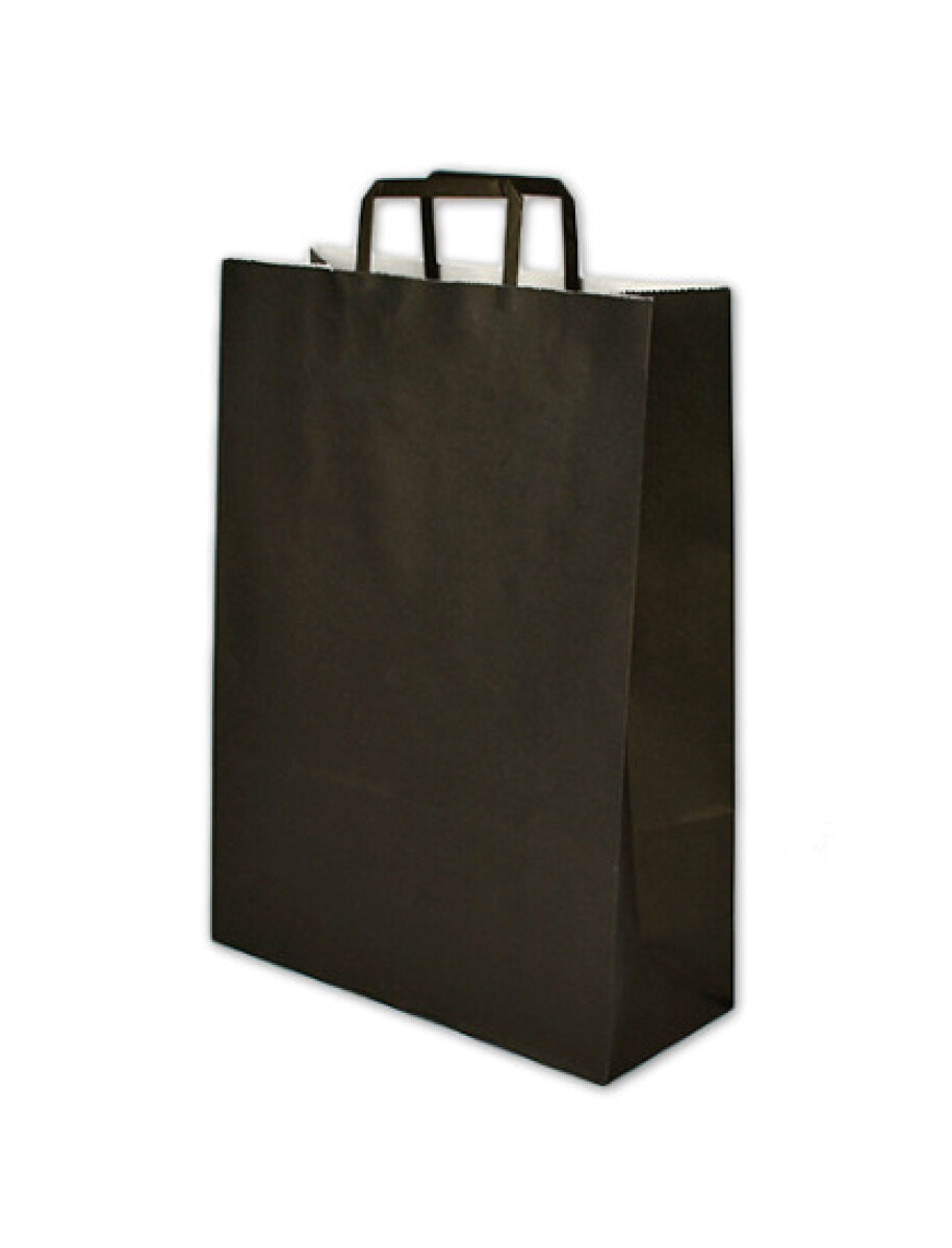 Bolsa lisa acuario 30x12x41 cm - NEGRO 