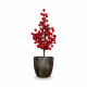 Bonsai de Bayas Rojas 40cm Bonsai de Bayas Rojas 40cm