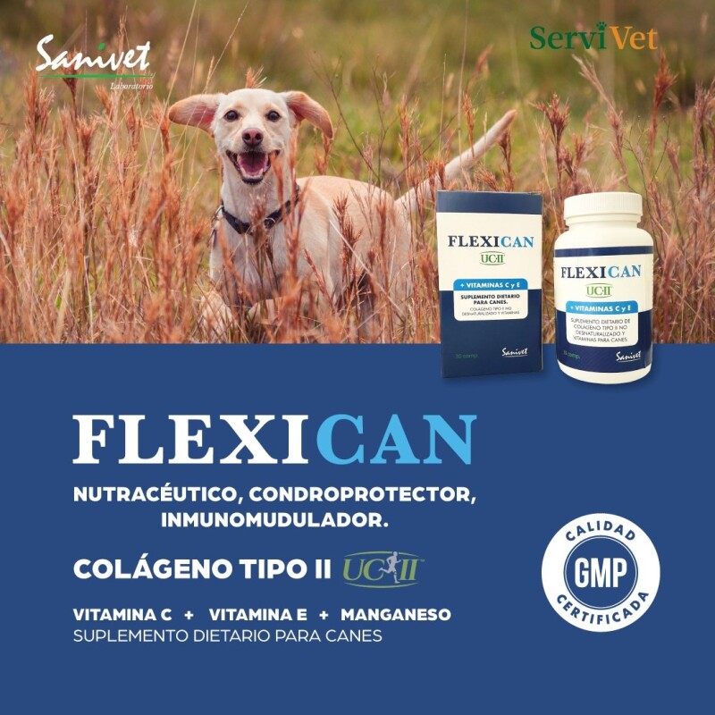FLEXICAN SUPLEMENTO DIETARIO. REDUCTOR DE DOLOR ARTICULAR. SERVIVET FLEXICAN SUPLEMENTO DIETARIO. REDUCTOR DE DOLOR ARTICULAR. SERVIVET