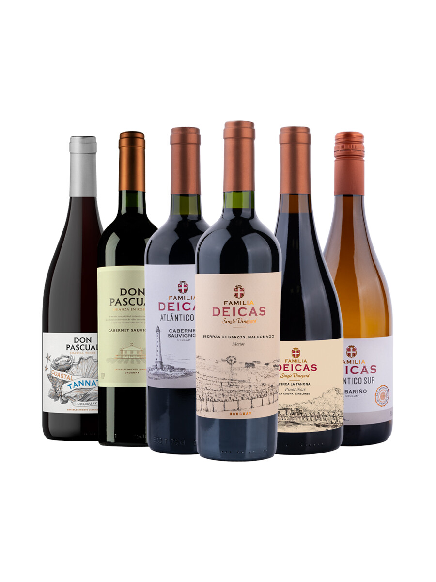 Pack Bacán Selección Bacanazo Fin de Año x6 vinos uruguayos Pack Bacán Selección Bacanazo Fin de Año x6 vinos uruguayos