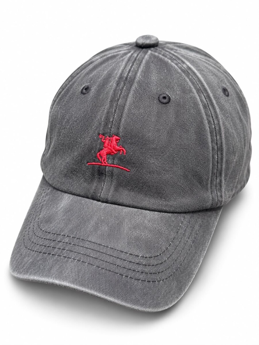 Gorra Visera Bagual - Negro 