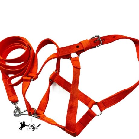 bozal con cabresto de cinta rojo