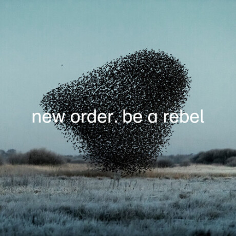 (l) New Order - Be A Rebel - Vinilo (l) New Order - Be A Rebel - Vinilo