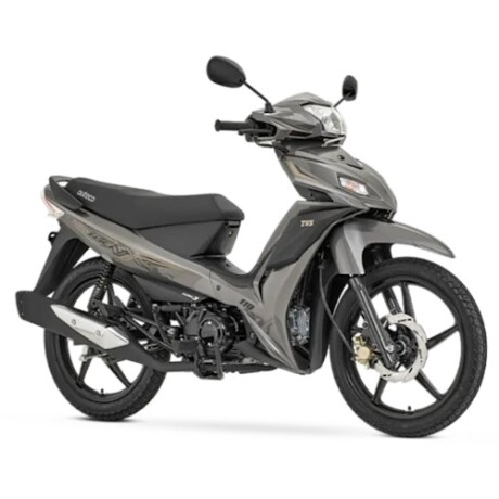 TVS NEO NX110 Gris