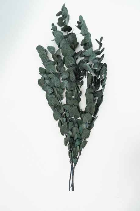 Deco Floral Eucalipto Color Unico