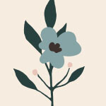 Flores dia de la madre