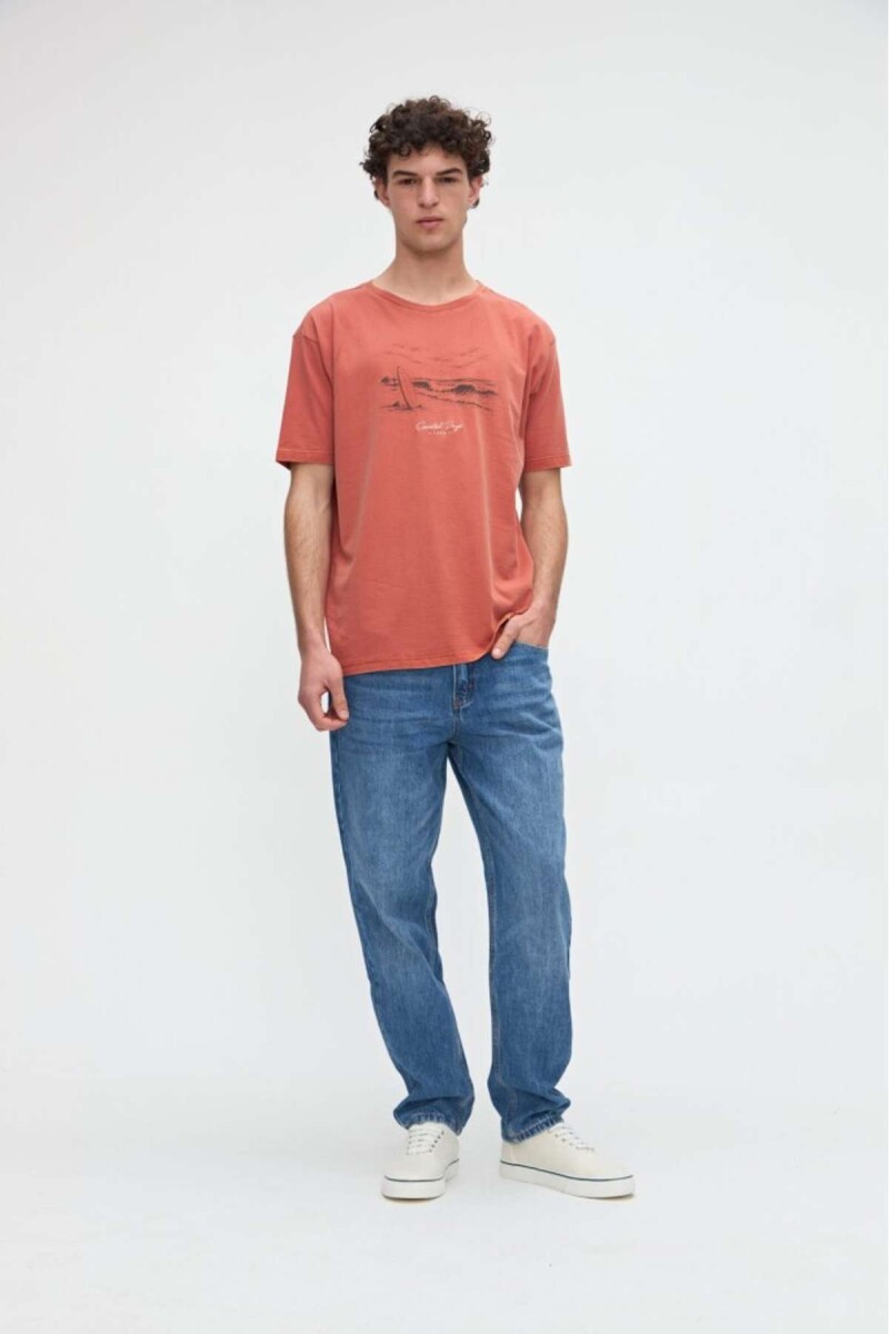 Remera Floyd - Ladrillo 