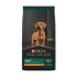 Pro Plan Cachorro Raza Grande 15kg | Crecimiento Saludable Pro Plan Cachorro Raza Grande 15kg | Crecimiento Saludable