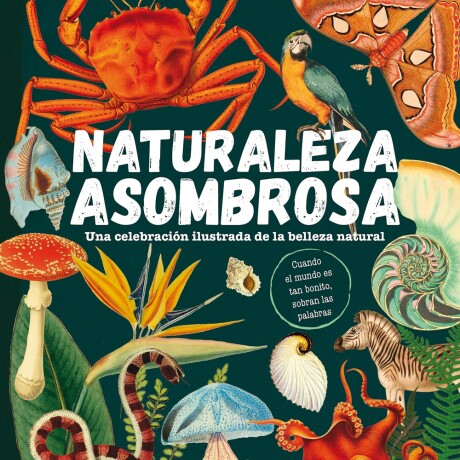 NATURALEZA ASOMBROSA NATURALEZA ASOMBROSA