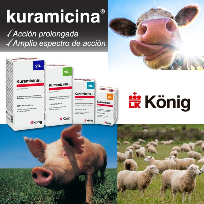 KURAMICINA L.A. – ANTIBIÓTICO INYECTABLE DE ACCIÓN PROLONGADA PARA BOVINOS, OVINOS Y PORCINOS – 100 ML KURAMICINA L.A. – ANTIBIÓTICO INYECTABLE DE ACCIÓN PROLONGADA PARA BOVINOS, OVINOS Y PORCINOS – 100 ML