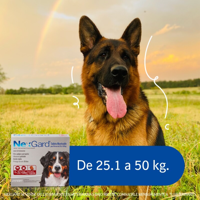 NEXGARD PASTILLA ANTIPULGAS Y GARRAPATAS X 3 COMP DE 25,1 A 50 KG
