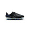 Championes Nike Jr Legend 10 De Niño Gray