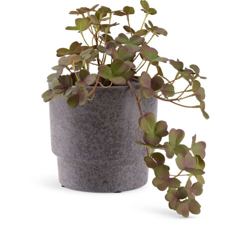 Planta Artificial Bergur A21Cm Maceta