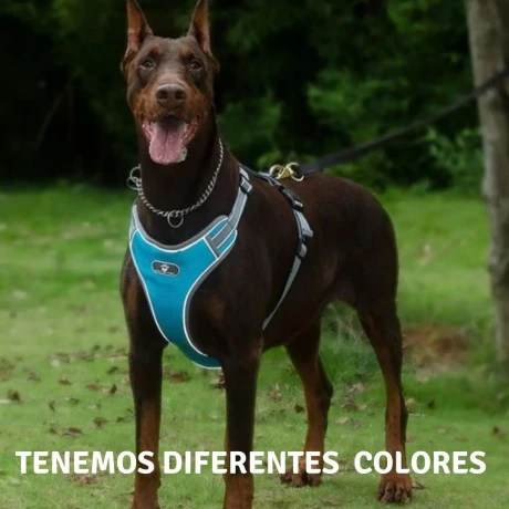 ARNES REFORZADO CINTA REFLEX - L (16 A 27 KG) Arnes Reforzado Cinta Reflex - L (16 A 27 Kg)