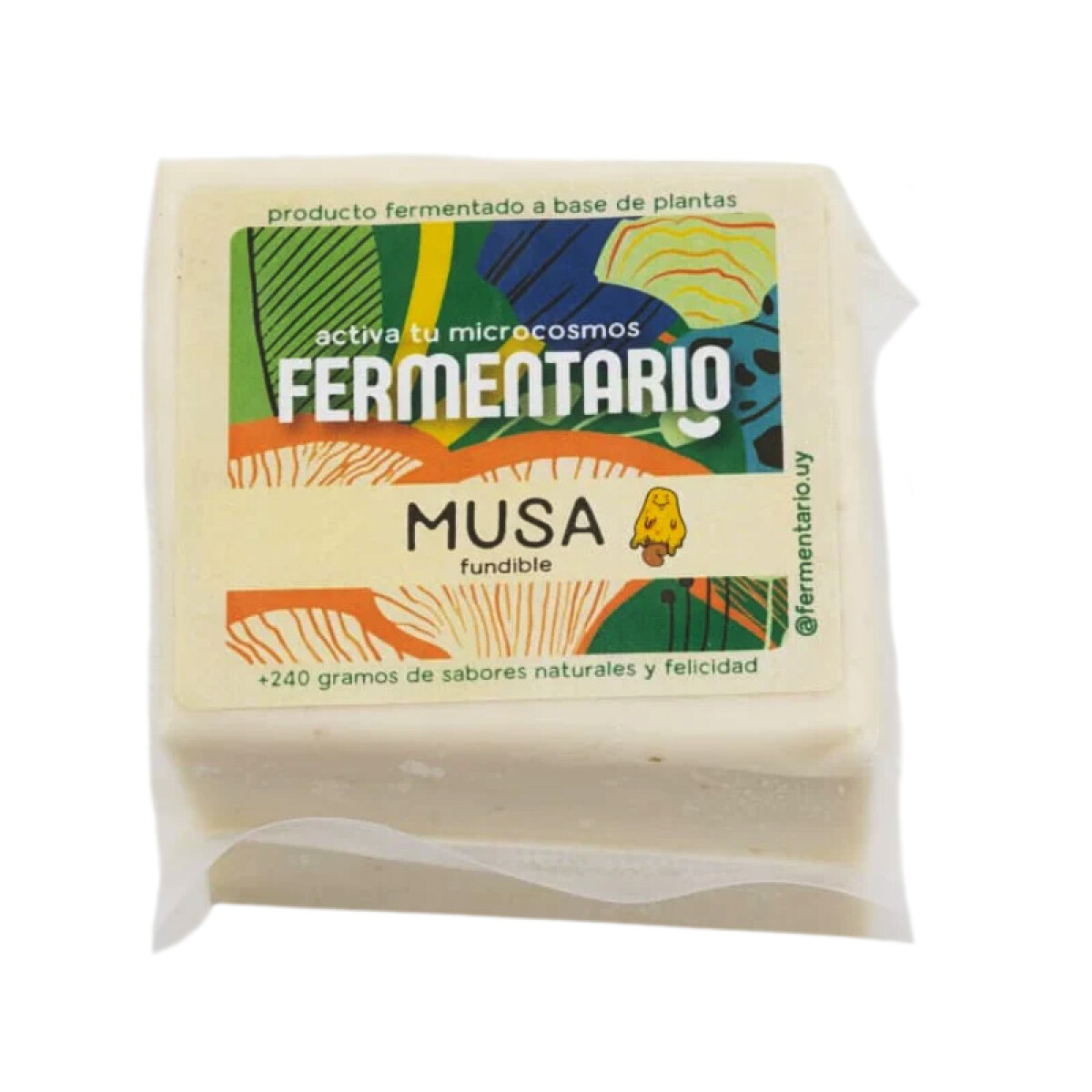Musa Fermentario 