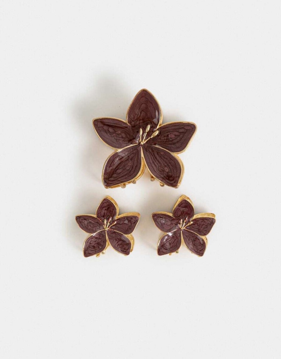 Set De Broches - Combinacion Bicolor 