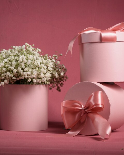 Box Rosa Ilusión Box Rosa Ilusión