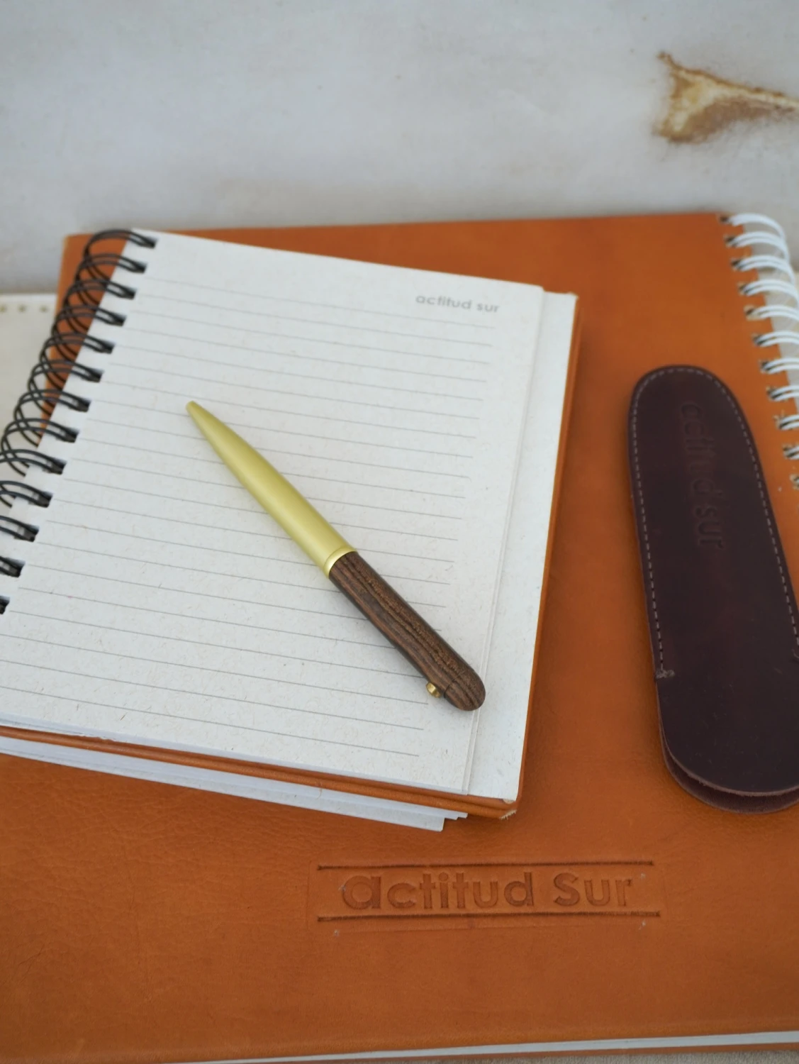 Desk Pen