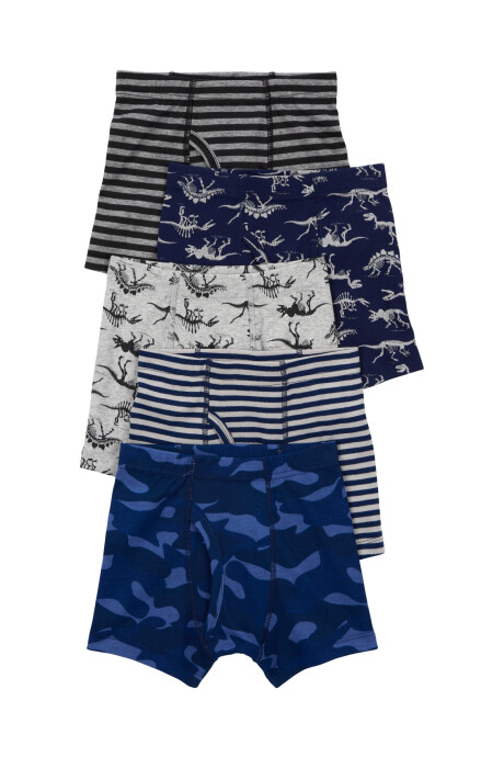 Pack cinco calzoncillos boxer de algodón, diseño dinos Pack cinco calzoncillos boxer de algodón, diseño dinos