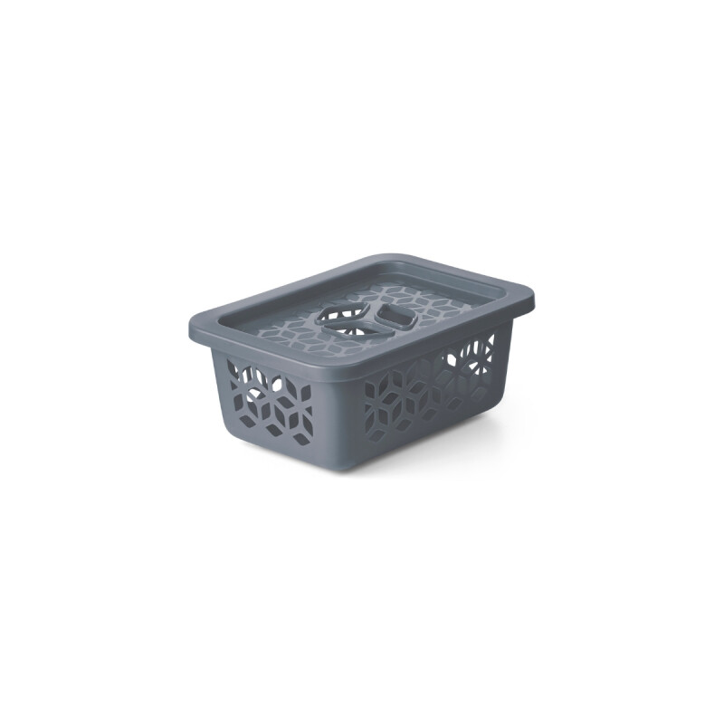 Caja organizadora P con tapa GRIS