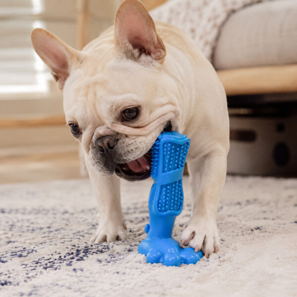 Juguete Para Perros Dental Ventosa Anti Sarro Resistente Color Azul