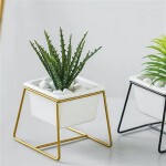 MACETA CERAMICA RECT. C/BASE 8x8x9CM BLANCO/DORADO MACETA CERAMICA RECT. C/BASE 8x8x9CM BLANCO/DORADO