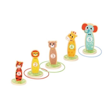 juego de anillos juego de anillos