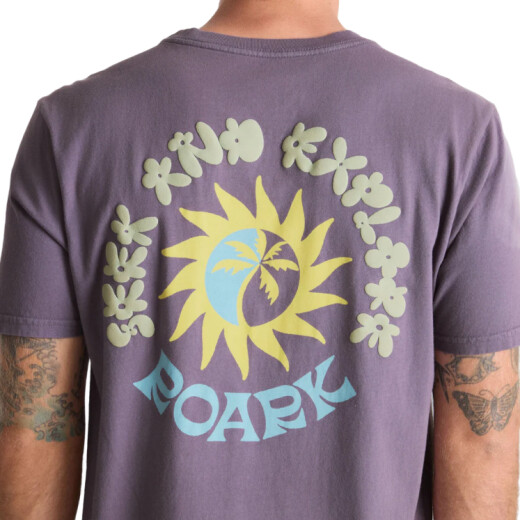 Remera Roark Seek & Explore - Violeta Remera Roark Seek & Explore - Violeta