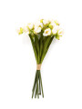 RAMO DE TULIPANES BLANCO