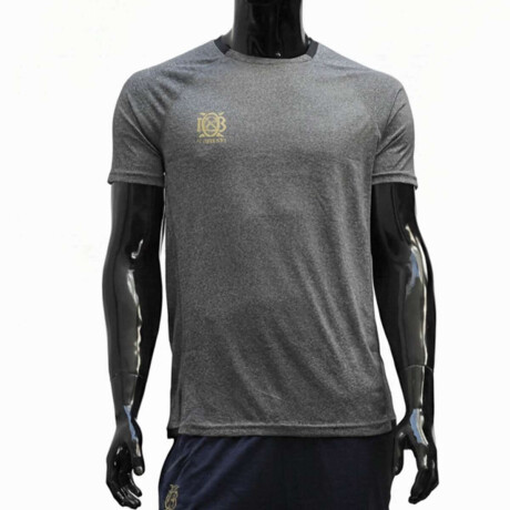 Remera Dry Fit Manga Corta Para Hombre Gris